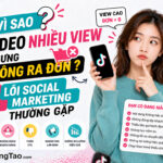 Vì sao video nhiều view nhưng vẫn không ra đơn?